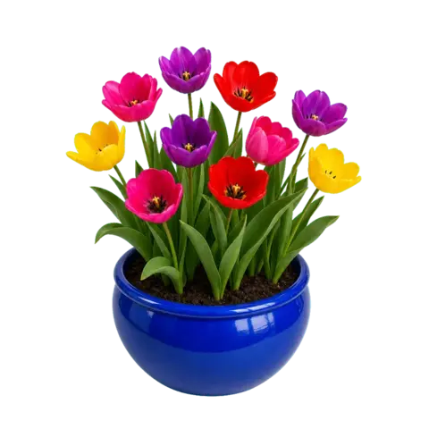 The app's tulips in a bright mix of colours