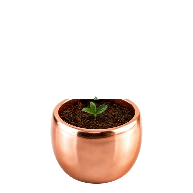 The app's peony plant at stage 1 of 8: a pot of fresh soil