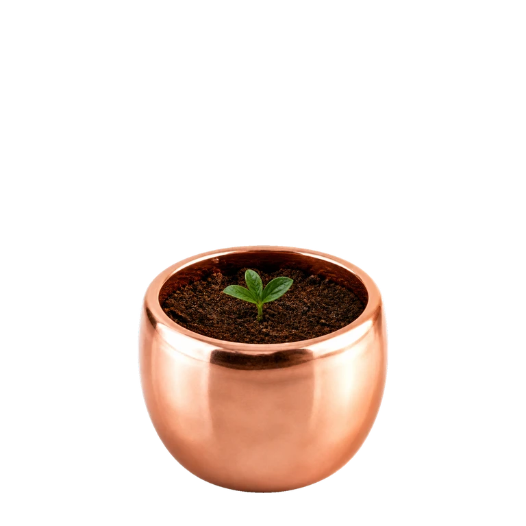 The app's peony plant at stage 2 of 8: a tiny sprout